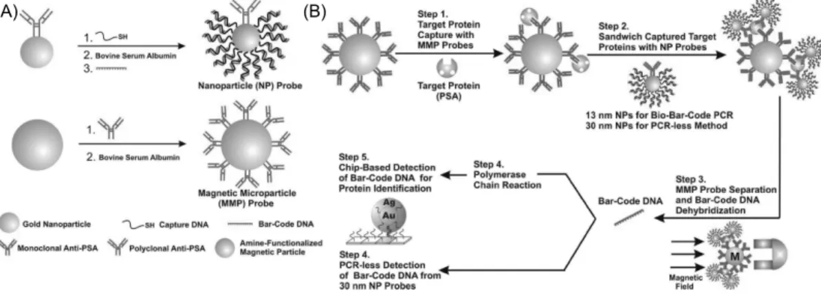 Fig. 3. The bio.bar-code assay method (Nam JM  et al ., Science, 301, 1884, 2003).