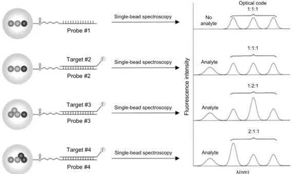 Fig.  4.  Schematic  illustration  of  DNA  hybridization  assays  using  QD-tagged  beads