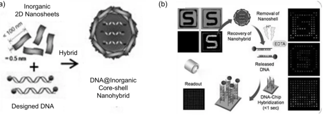 Fig. 2. Scheme for fabricating nanohybrid core-shell particle (a) and nano-forensics application using nanobio hybrid  barcode (최진호, 바이오융합기술, 21, 2011)