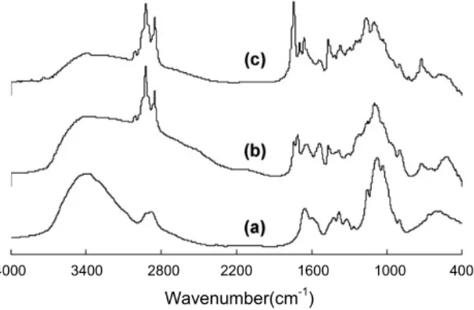 Fig. 1. FT-IR spectra of (a) chitosan flakes, (b) chitosan particles and (c) AP-loaded chitosan particles with CTS to  AP weight ratio of 1:1.50