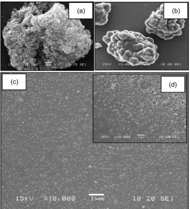 Fig. 6. SEM micrographs at 15 kV of (a) chitosan particles (10,000×) and (b)–(d) AP-loaded chitosan particles with  different  CTS  to  AP  weight  ratios:  (b)  1:1.00  (1000×),  (c)  1:1.00  (10,000×)  and  (d)  1:1.50  (10,000×)