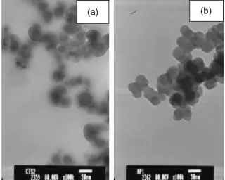 Fig. 7. TEM micrographs at 80 kV of (a) chitosan particles (100,000×) and (b) AP-loaded chitosan particles with  CTS to AP weight ratio of 1:1.00 (100,000×)