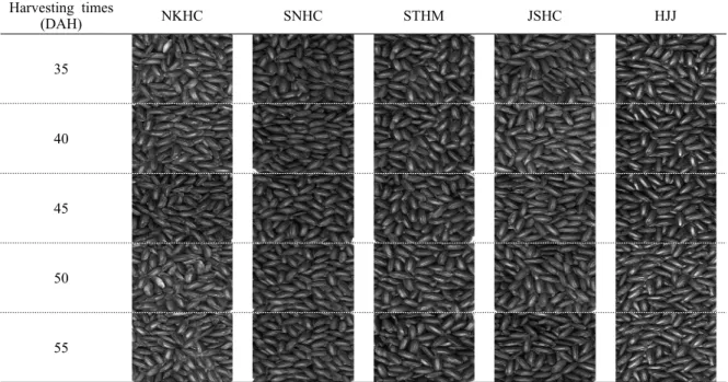 Fig. 1. Variation of brown rice color according to the different harvest times in 5 black rice varieties