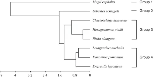 Fig. 3. Dendrogram illustrating the classification of fish species collected by bottom otter trawl in coastal waters of Geumodo on the basis of their occurrence patterns.
