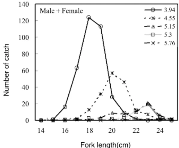 Fig. 3. Size frequency distribution using fork length of the female Japanese sandfish.