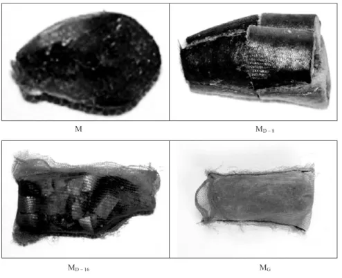 Fig. 1. Baits used to recognize the shape in experiments Ⅰ Ⅰ.
