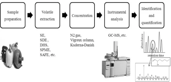 Fig. 1. General scheme of the GC-MS based flavor analysis