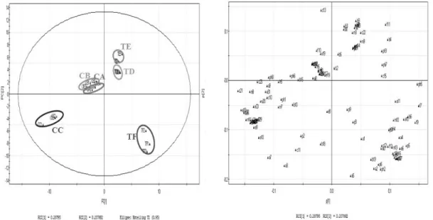 Fig. 5. PCA score (A) and loading (B) plots with GC-MS data sets
