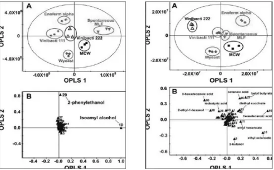 Fig. 6. OPLS-DA score (A) and loading (B) plots with GC-MS data sets
