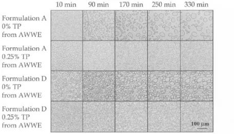 Fig. 5. Bright field pictures taken of formulation A(only sucrose), and formulation D(ice cream mixture), with and without 0.25% AWWE(cold-acclimated winter wheat extracts) at -5℃, for every 80 minute(starting after 10 minutes), TP; total protein.