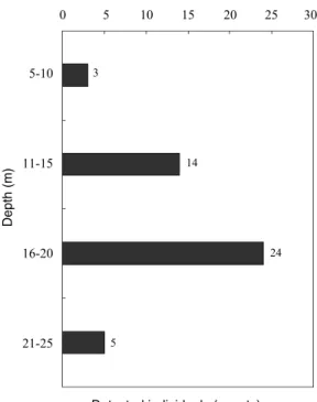 Fig. 4. Vertical distribution of giant jellyfish measured by acoustical method.