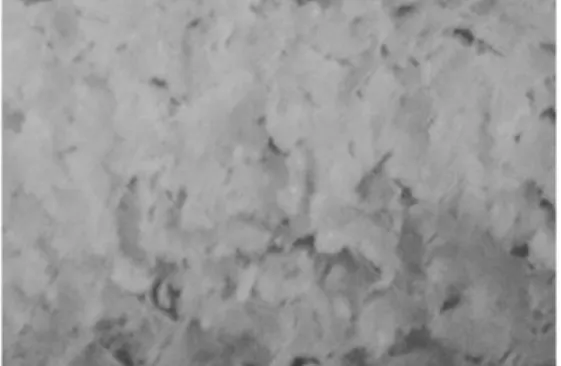 Fig. 3. Appearance of epoxy glass flake coating for SS 400 before acid resistance test in 20% H 2 SO 4 solution.