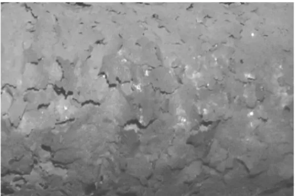 Fig. 6. Damage appearance of epoxy glass flake coating for SS 400 after 3 cycle acid resistance test in 20% H 2 SO 4