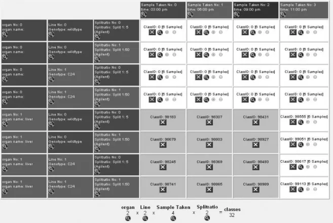 Fig. 1. SetupX view of a four dimensional study