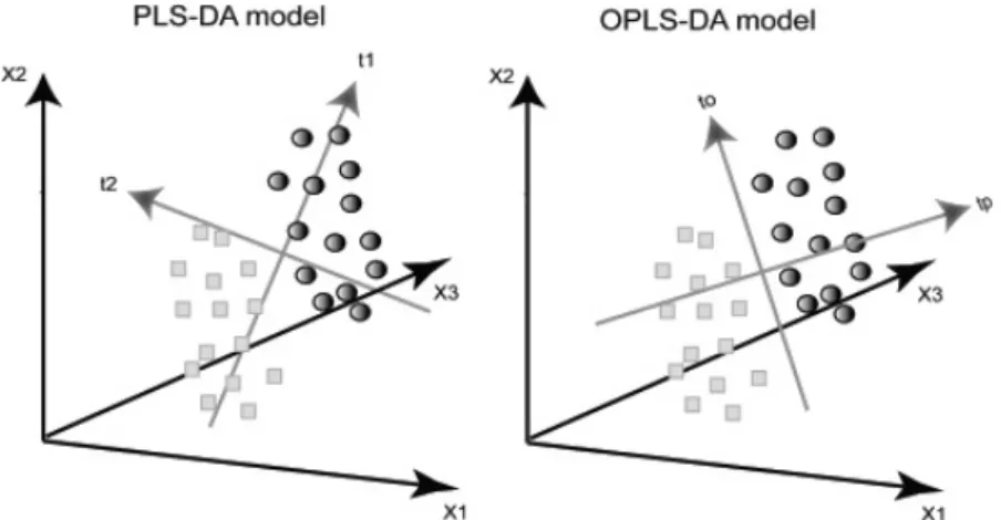 Fig. 4. Geometrical illustration of the difference between PLS-DA and OPLS-DA. The OPLS-DA model is rotated so that between class variation, difference between squares and circles, is found in the predictive component t p and within class variation is seen