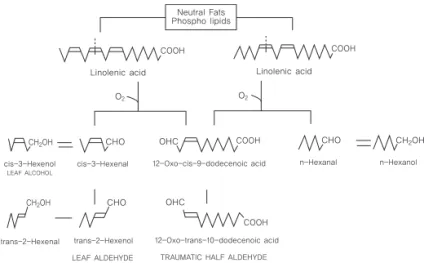Fig. 3. The biosynthetic pathway for monoterpene alcohols in tea leaves Fig. 2. Oxidative decomposition of leaf lipid and the biosynthetic pathways for 