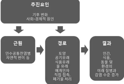 Fig. 1. Basic Risk Framework for Infectious Disease Risks