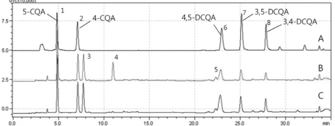 Fig. 2. HPLC chromatogram of caffeoylquinic acids of non-fermented and fermented water extracts from Ligularia fischeri