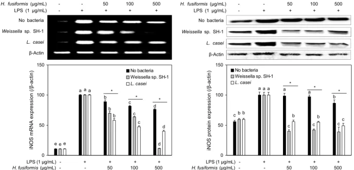 Fig. 2. Effects of ethanol extracts from fermented H. fusiformis with/without lactic acid bacteria on iNOS expression in LPS-stimulated  RAW264.7 macrophages