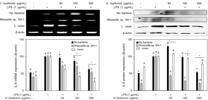 Fig. 4. Effects of ethanol extracts from fermented H. fusiformis with/without lactic acid bacteria on IL-6 expression in LPS-stimulated  RAW264.7 macrophages