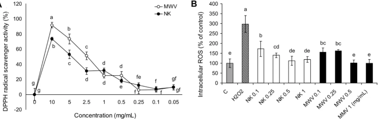 Fig. 3. The effect of MWV after 7 days of fermentation on DPPH radical scavenger activity (A) and intracellular ROS generation  (B) in SK-N-SH cells