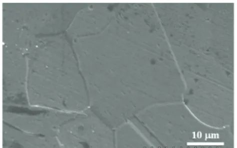 Fig.  3  SEM  observation  of  the  structure  of  the  solution  treatment  specimen  during  1h  on  each  temperature