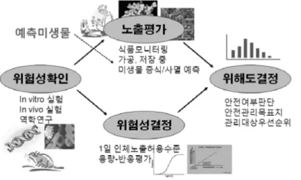 Fig. 5.  Microbiological risk assessment process