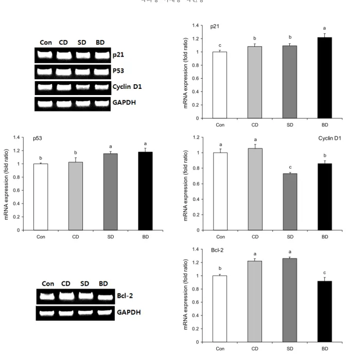 Fig. 5. mRNA expression levels of doenjang extracted samples on p21, p53, cyclin D1, and Bcl-2 in HT-29 cancer cells (0.5 mg/