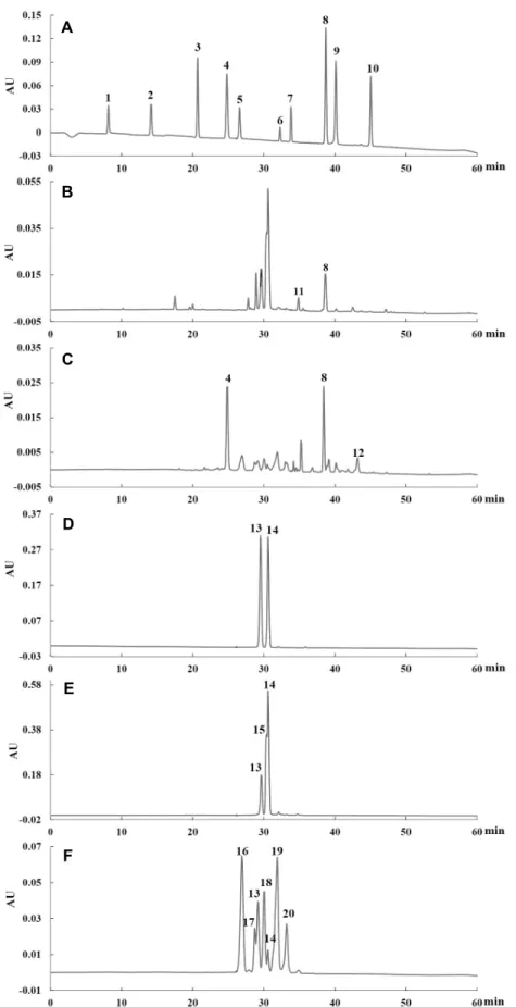 Fig. 2. HPLC chromatograms of phenolic compounds (at 254 nm (A) and 520 nm (D)), black raspberry extracts (at 360 nm (B)  and 520 nm (E)) and blueberry extracts (at 360 nm (C) and 520 nm (F))