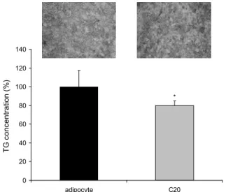 Table  2.  Food  intake,  body  weight  gain,  and  food  efficiency  ratio  in  mice  fed  experimental  diet 