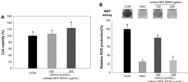 Fig. 3. Effect of U. pumila L. extracts on cell viability (A) and relative reactive oxygen species (ROS) production (B) in 3T3-L1 cells