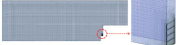Fig.  6  Initial  condition  of  tsunami  wave