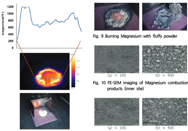 Fig.  10  FE-SEM  imaging  of  Magnesium  combustion  products  (inner  site)