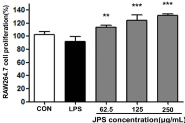 Fig. 1. Cell proliferation activity of Jubak polysaccharide (JPS) in RAW264.7 macrophage cell