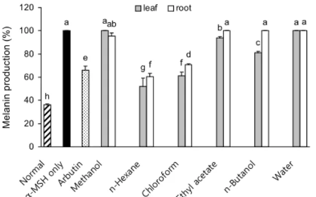 Fig. 4. Melanin production on various solvent fractions from  methanol extract of Allium hookeri in B16F10 melanoma cell  treated with α-MSH