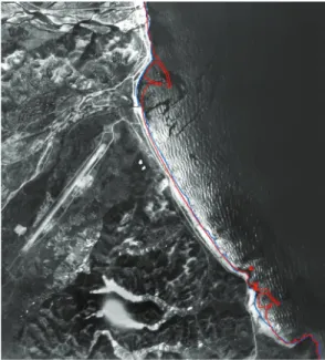 Fig.  6  Coast  line  chang  (Yangyang)