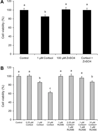 Fig. 1. The effect of ZnSO 4  on cortisol-induced cytotoxicity (A) and the effect of RU486 on dose-dependent cortisol cytotoxicity (B)