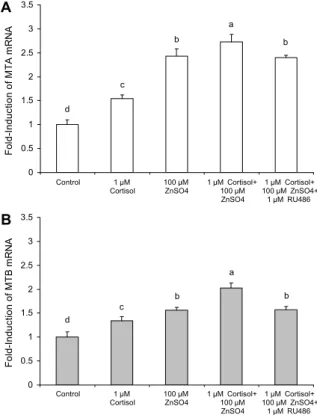 Fig. 4. Effect of ZnSO 4  and RU486 on cortisol-induced activa- activa-tion of the MTA (A) and MTB (B) genes