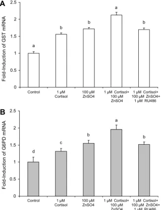 Fig. 5. Effect of ZnSO 4  and RU486 on cortisol-induced activa- activa-tion of the GST (A) and G6PD (B) genes