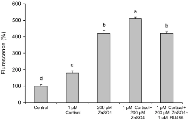 Fig. 6. Cellular Zn 2+  in cells detected by spectrofluorophotometer using FluoZin-3 AM