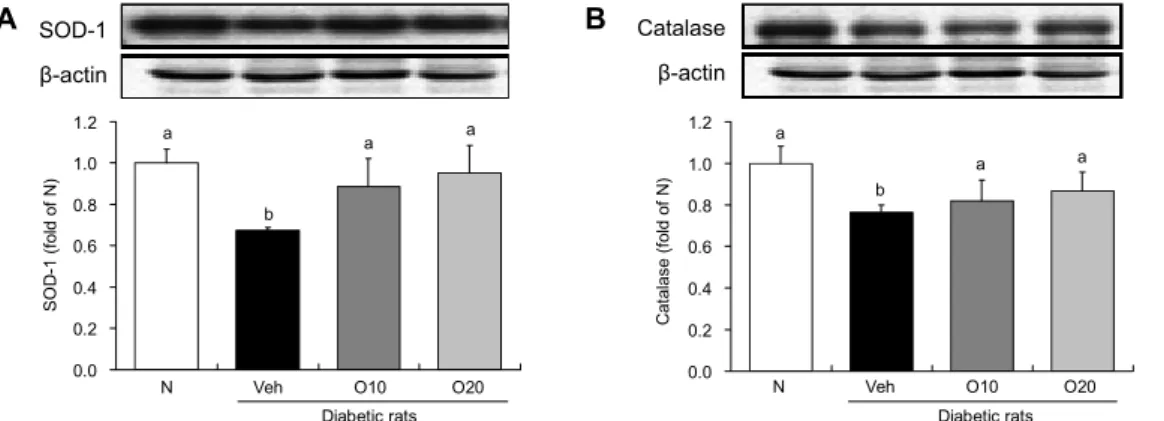 Fig. 2. Hepatic SOD-1 and catalase expressions. Groups are the same as Table 1. Results are expressed as means±SE
