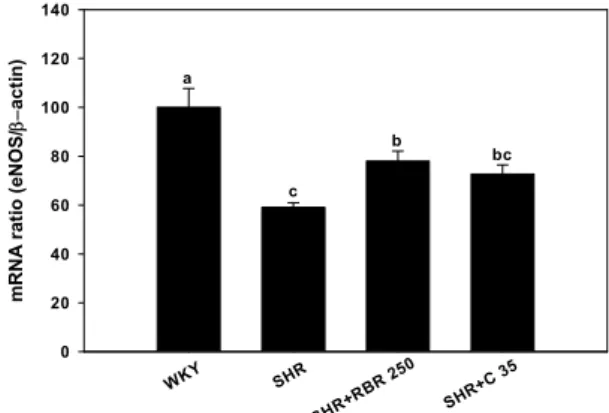 Fig. 3. Effects of RBR extracts (50% EtOH) and captopril on  expression of eNOS mRNA in the heart tissue of SHR