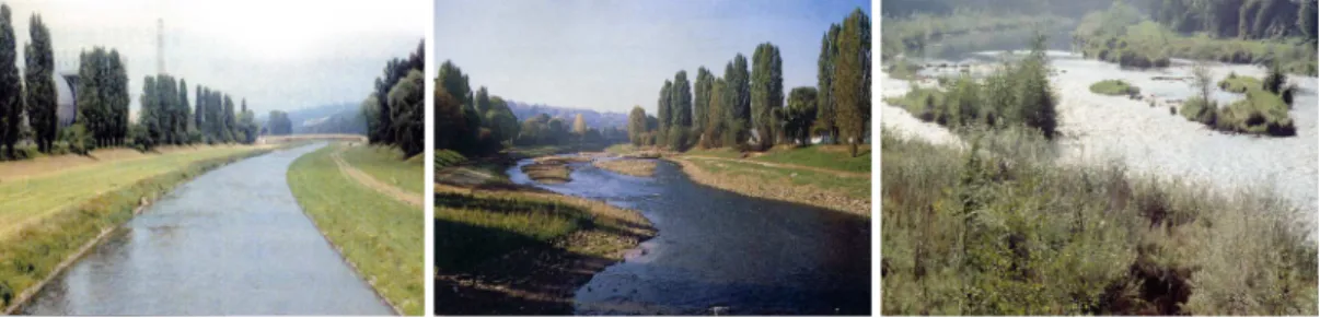 그림 2. 하천발전의 개념(Juerging et al., 2004; Buschmann, 2005)