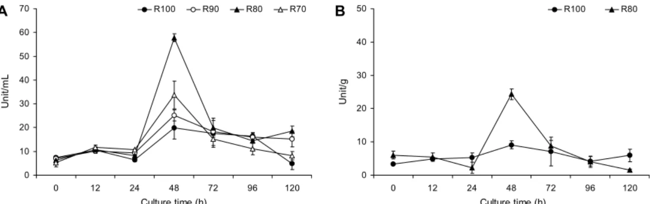 Fig. 2. Time course of amylase activity during fermentation of rice and amaranth by Bacillus subtilis KMKW4