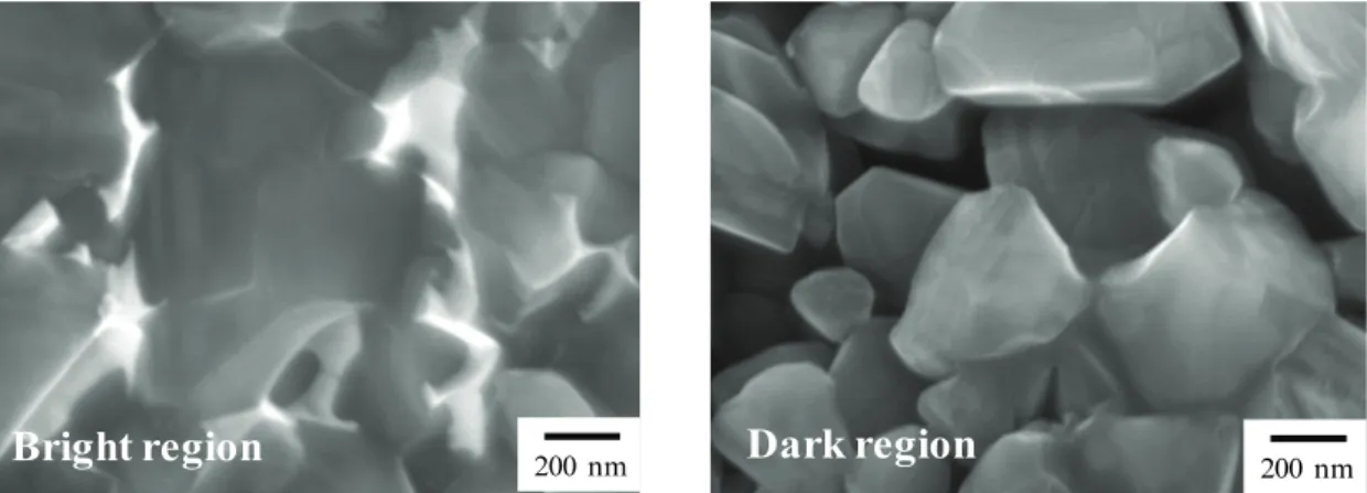 Fig.  2  Magnitude  of  ‘Dark’  and  Bright’  region  of  a  SEM  image  in  Fig.  1