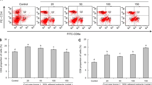 Fig. 4. Effect of Curcuma longa L. 20% ethanol extracts on the proportions of CD4+ and CD8 T+ cells in splenocytes