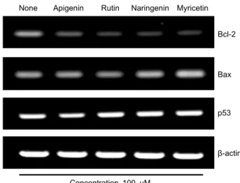 Fig. 3. Dose-dependent effect of flavonoid (apigenin, rutin, nar- nar-ingenin, and myricetin) on the expression levels of Bcl-2, Bax, and p53 proteins in HT-29 cells