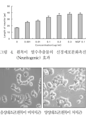 그림  4.  흰목이  열수추출물의  신경세포분화촉진 (Neuritogenic)  효과