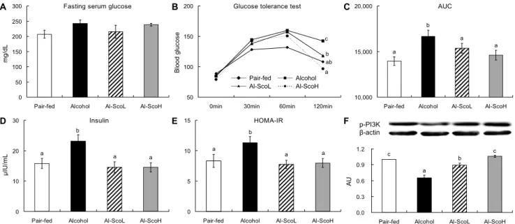 Fig. 2. Effect of scopoletin supplementation on fasting serum glucose level (A), oral glucose tolerance test (B), AUC (C), insulin  level (D), HOMA-IR (E), and p-PI3K protein expression (F) in chronic alcohol-fed rats