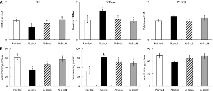 Fig. 3. Effect of scopoletin supplementation on hepatic glucose metabolic enzymes mRNA expression (A) and activities (B) in chronic alcohol-fed rats